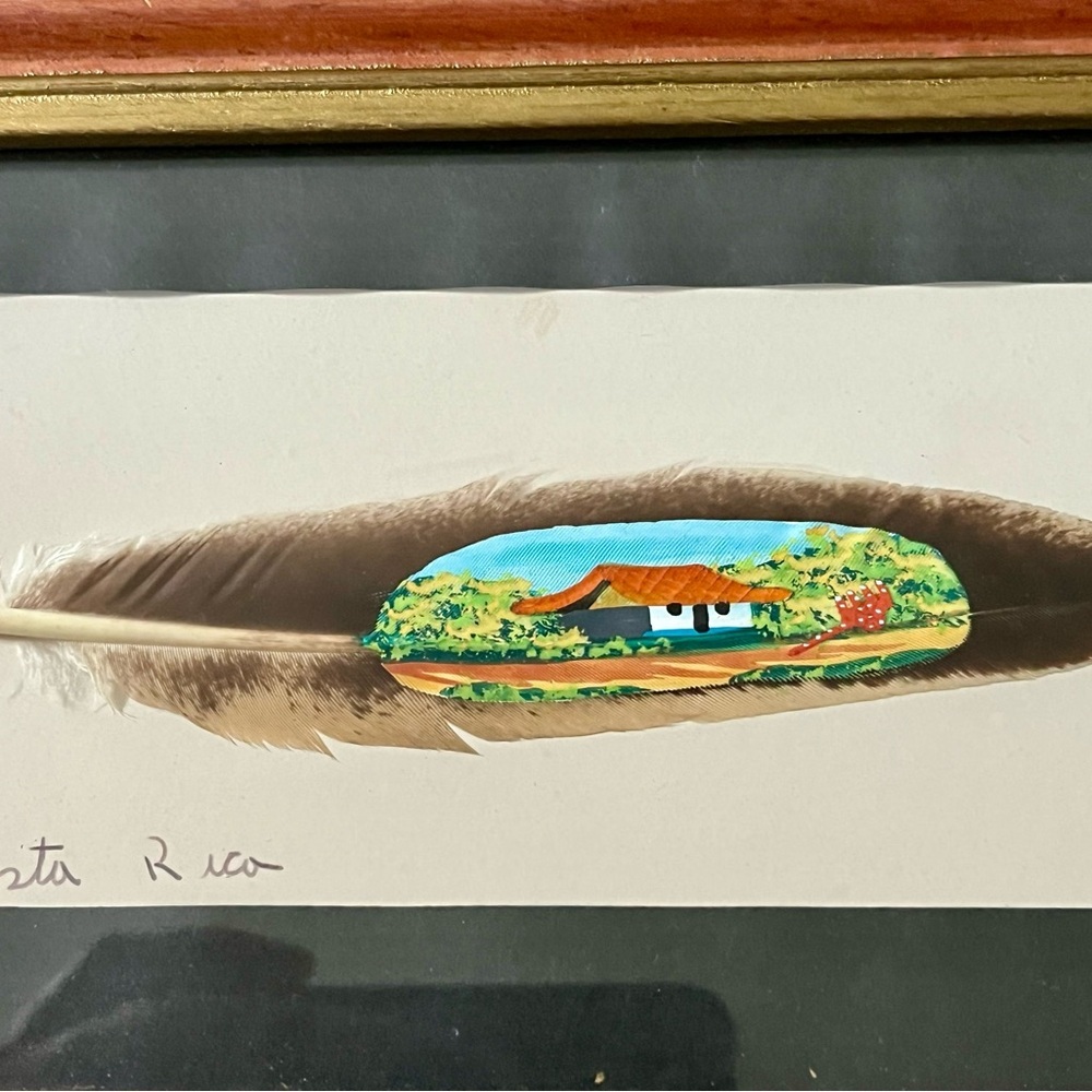 Framed Costa Rica Artwork with Wooden Frame hand painted on Bird Feather 7/13 in - Picture 8 of 11